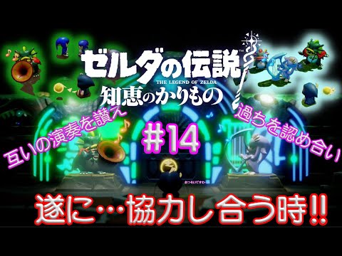 光の力、お借りします！【ゼルダの伝説 知恵のかりもの】#14