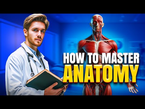 Anatomy Mastery Made Simple!
