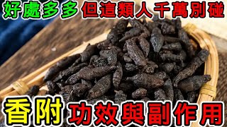 香附的功效是什麼？香附的副作用是什麼？香附不能和什麼一起吃？什麼人絕對不能吃香附？