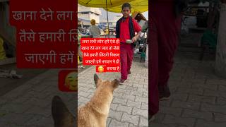 24 October 2024#dogs #search #reaction #help #viralvideo #shortfeed #seo