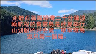南加州一對華人夫婦通過代孕生了21個孩子，因涉嫌虐待，現由警方介入調查，這對夫婦背後有什麼內幕？   HD 1080p