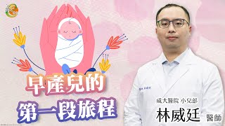 【早產兒的第一段旅程】林威廷醫師-成大e學堂