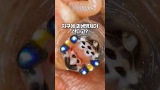 지구에 괴생명체가 산다고?