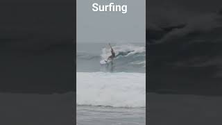Maldives Surfing Point Cokes #shorts #youtube