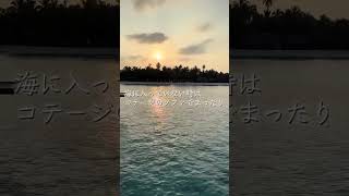 モルディブのベストシーズン☀️ #travel #maldives #モルディブ #honeymoon #wmaldives #ハネムーン  #新婚旅行 #旅行