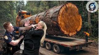 Extremely Dangerous Large Chainsaw Fastest | Agriculture Technology #30
