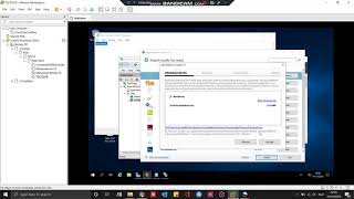 how to make a web server using WordPress on Windows server2019 part 1