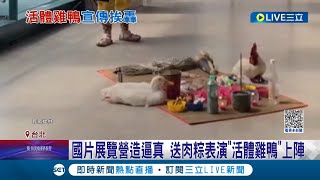 志工痛罵"是放生還是放死"！國片展覽營造逼真 送肉粽表演"活體雞鴨"上陣 事後遭隨意放生挨轟 主辦單位立刻發聲明道歉│記者 翁嘉妤 黃昀凡│【LIVE大現場】20230701│三立新聞台