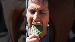 Bear Grylls Lied to You: 5 Deadly Survival Myths Busted!