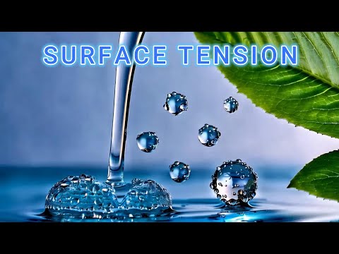 Surface Tension part 1 | English | Pathfinder6 | by Anand