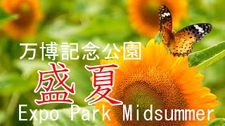 万博記念公園　盛夏　2021　大阪府吹田市　Expo Memorial Park Midsummer Suita City,Osaka Japan