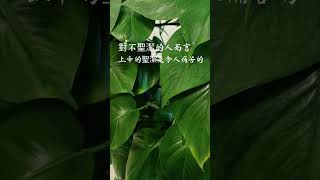 并且穿上新人，这新人是照着神的形象造的，有公义和真实的圣洁。所以你们要弃绝谎言，各人与他的邻舍说实话，因为我们是互相为肢体。#耶稣基督 #恩典夠用 #爱