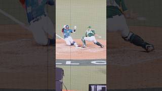 登上 MLB官網的宋晟睿場內全壘打 (本畫面由畇二贊助播出)【2025WBCQ 2025.02.22】
