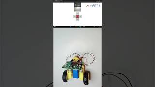 🚨 SURVEILLANCE BOT - LIVE FEED MONITORING 🚨