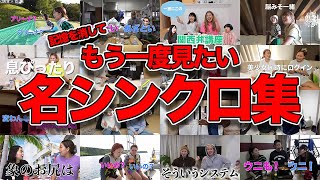 【伝説級】記憶を消してもう一度見たい名シンクロ集【平成フラミンゴ】