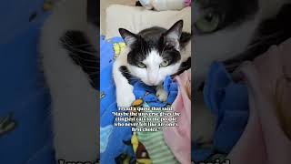 Do you believe this? #rescuecat #sweetcat #catlove #ilovemycat