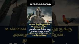திருச்செந்தூர் முருகன் அருள்வாக்கு | Tiruchendur Murugan Temple | ஓம் சரவணபவ | ஓம் முருகா போற்றி
