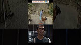 Respect to Dog 🐕😞😍 #shorts #respect #trending #daily #newcontent #public
