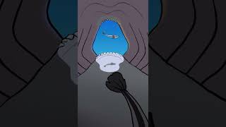 Lemon Shark 🍋🦈 #animation #original #cartoon