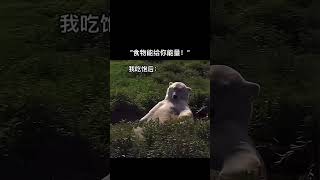 #內容過於真實 #YT不笑有三 #訂閱 #看更多 #梗圖 #迷因 #爆笑梗圖 #網路迷因 #搞笑日常