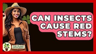 Can Insects Cause Red Stems? - The Plant Enthusiast