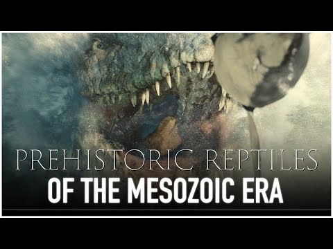 Prehistoric Ocean Niche Cashcow Faceless video