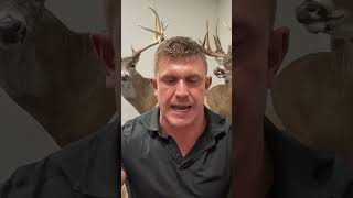 Fixed Blade vs. Expandable Broadheads #shorts