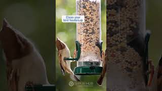 Spring Gardening Hacks: How to Get Your Yard In Tip-Top Shape!