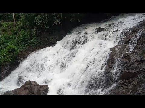 Beautiful Falls in Karnataka🤩 || Chamadka Falls Wonderfull View || Sullya || Bellare, Chokkadi