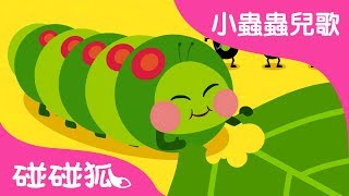 好餓的毛毛蟲 | 小蟲蟲兒歌 | 碰碰狐Pinkfong | 寶寶兒歌