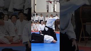 Nothing better than a bit of human pretzel to finish a demonstration! #aikido # humanpretzel