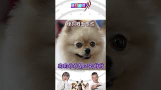 煉狗術師III｜煉狗嘅重要性 狗狗乖乖開心去街街 ｜Eric Ko｜鄺芷凡｜HOY｜HOYTV