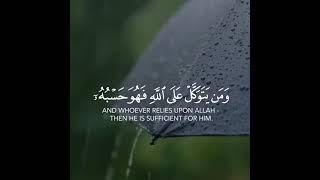 Quran Lines | Islamic Shorts Status | Islamic Videos | Quran Tilawat | Beautiful Quran
