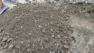 ছোট ফল সবজির  বাগানের মাটি প্রস্তুতির নিয়ম  | Soil Preparation | পুর্বাচল নীলামার্কেট