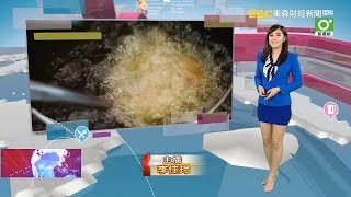 東森財經主播李佳玲 新聞播報片段(2019/8/22)