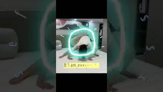 7 days inner thigh workout | Burn Inner Thigh Fat | tighten the inner part of your legs (B)
