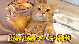 大嫌いな爪切りを乗り切る新技を身につけた猫がすごすぎた！w