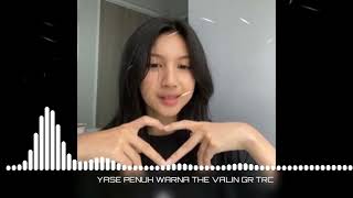 YASE PENUH WARNA THE VALIN GR TRC2024