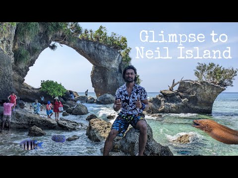 Glimpse to Neil island (Andaman & Nicobar)