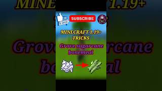 MINECRAFT SUGARCANE GROVE BONEMEAL TRICKS 1.19+ #jerrymousegaming #minecraftshorts#short #shortvideo