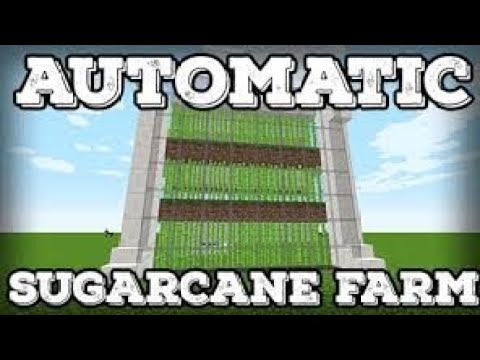 how to make sugar can farm in minecraft