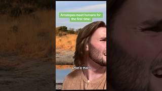 Ancient humans must’ve been terrifying