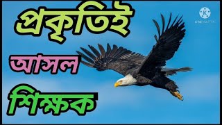 The powerful Eagle, Motivational video#M Bangla