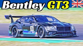 Bentley Continental GT3 - 550Hp V8 Twin-Turbo Engine - Kateyama Test Days at Misano & Monza Circuits