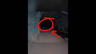 BestCars_Craziest Abandoned Car Find! 🚗🔥
