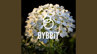 イベリスは夢で咲く