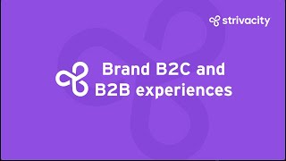 Strivacity CIAM product tour: Customize your B2B and B2C brand experiences