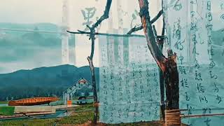 #感受大自然的气息和美景 #亲子游玩好去处 #随手一拍都是美景
