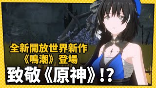 致敬《原神》！？爽快打擊感開放世界新作《鳴潮》登場！_電玩宅速配20220531
