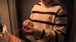 Wiring LEDs to a breadboard